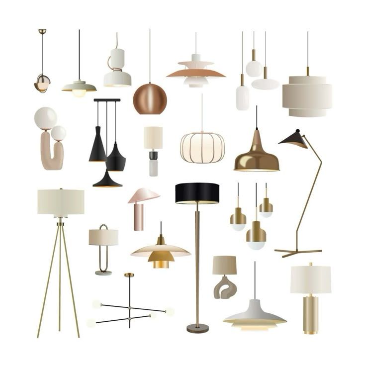 Lighting & Accessories

